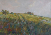 Pichlik - Meadow with bushes